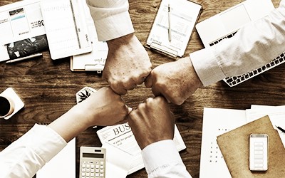Implementation & Training